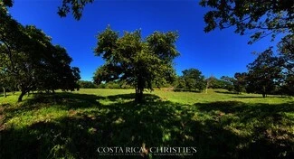 Farms and estates Land 3||750234