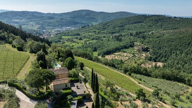 A splendid boutique winery with two farmhouses near Florence